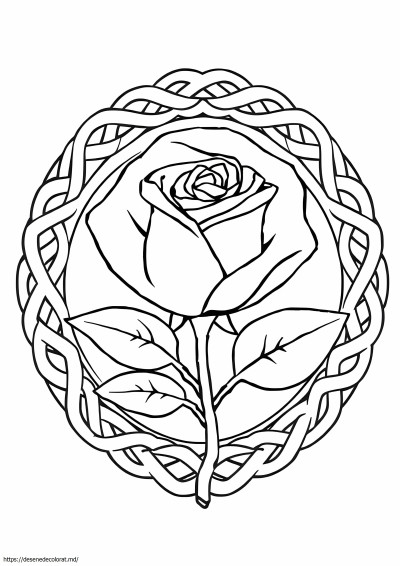 Trandafir celtic
