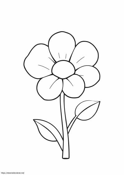 Floare simplă