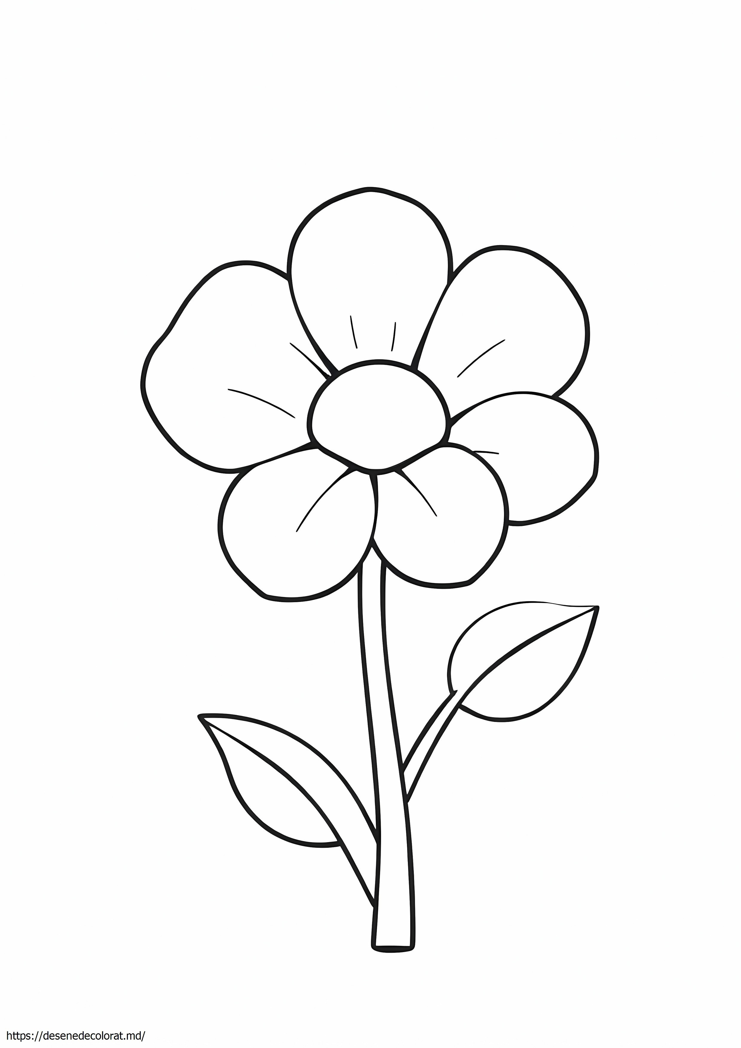 Floare simplă