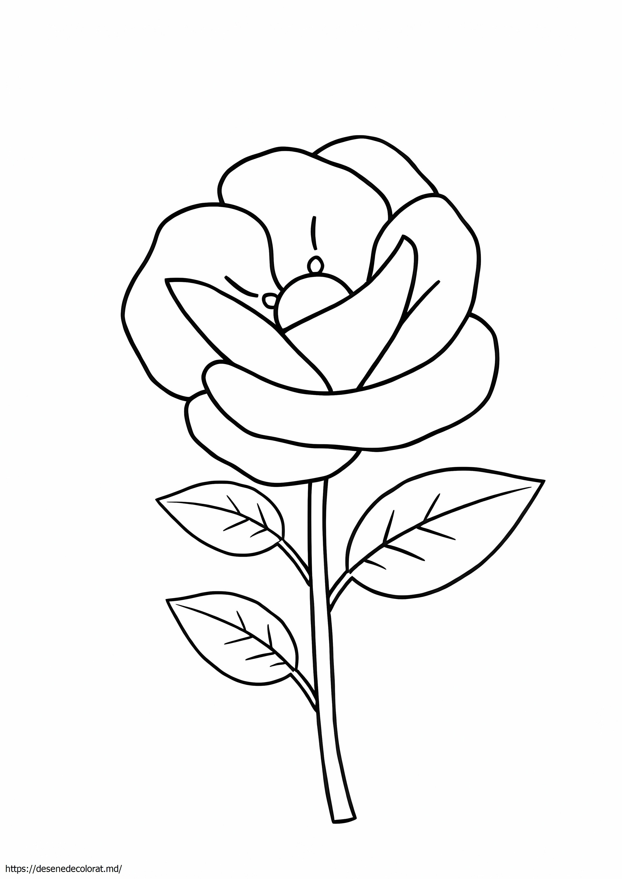 Floare de trandafir