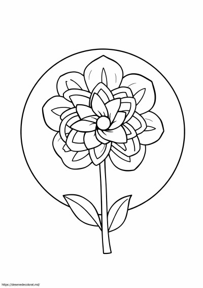 Floare încâlcită