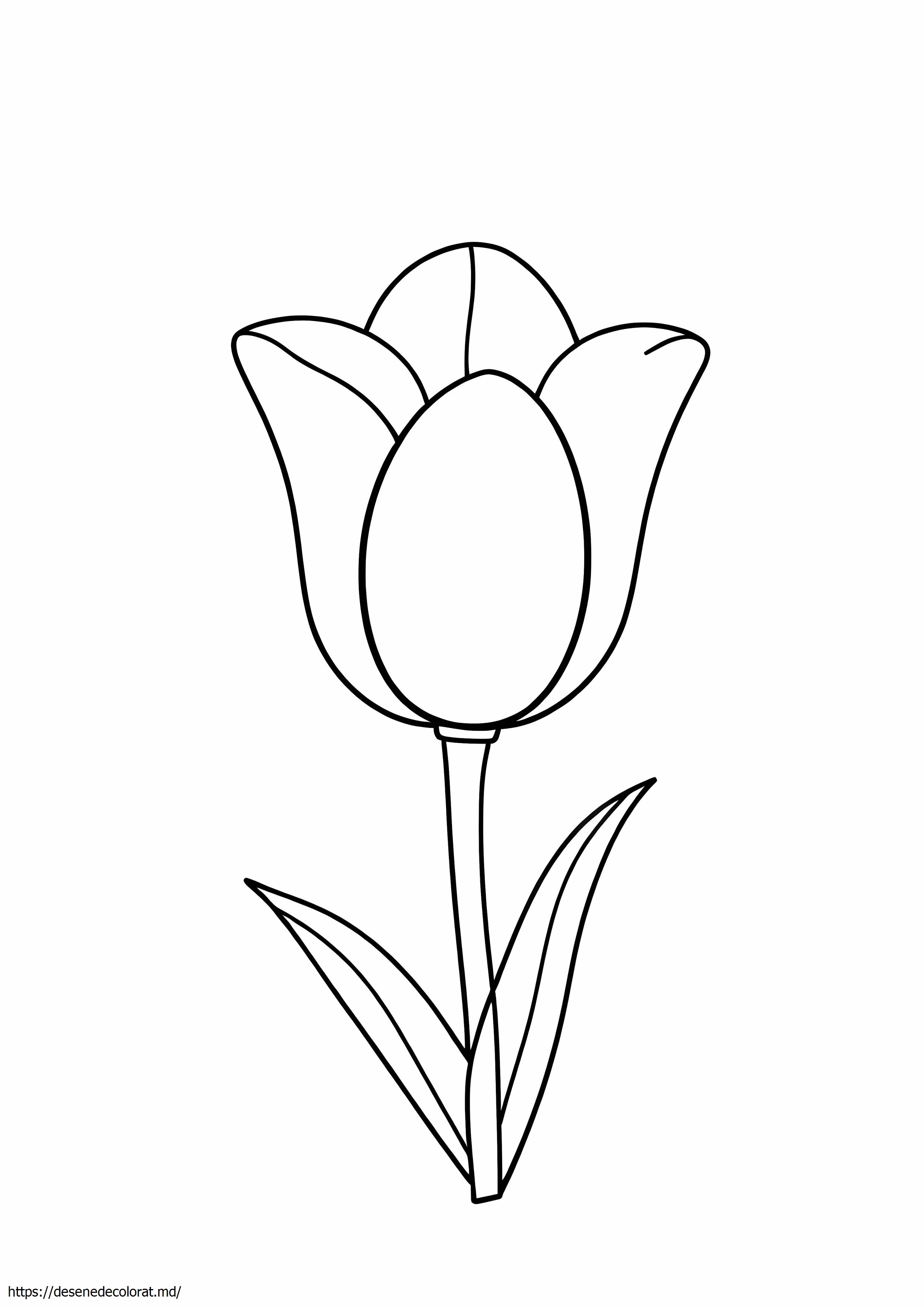 Floare de lalea