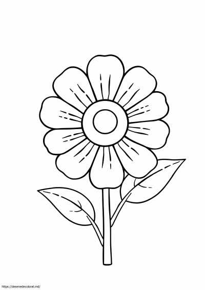 Floare de zinnia