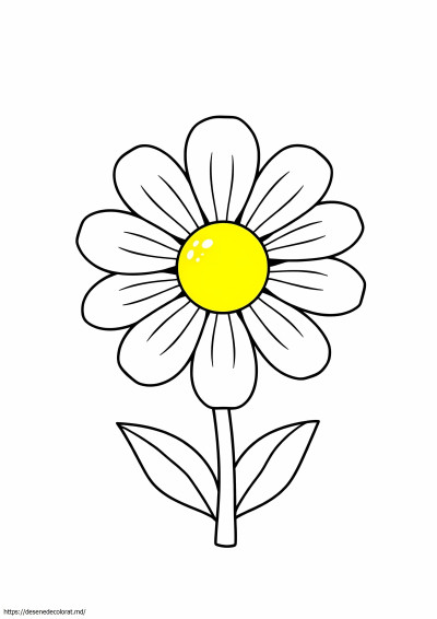 Margaretă estetică