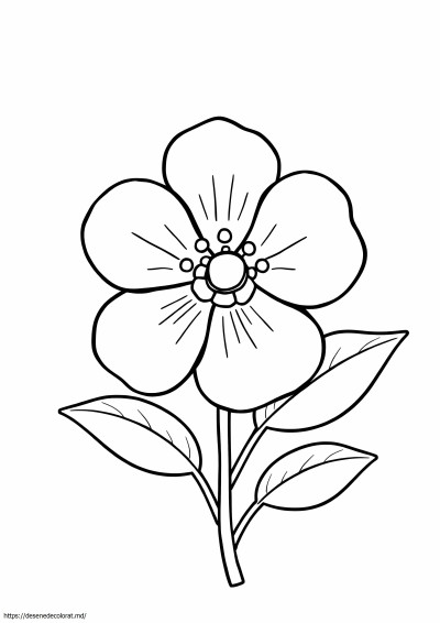 Floare de măr
