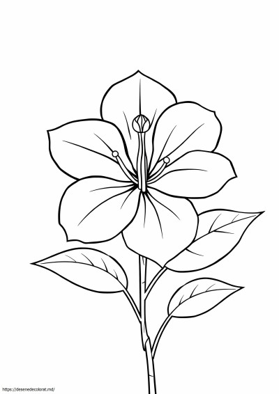 Azalee