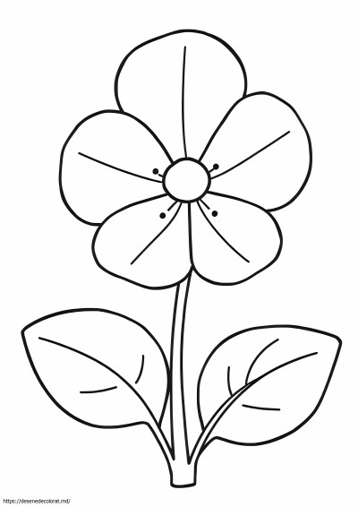 Violeta africană