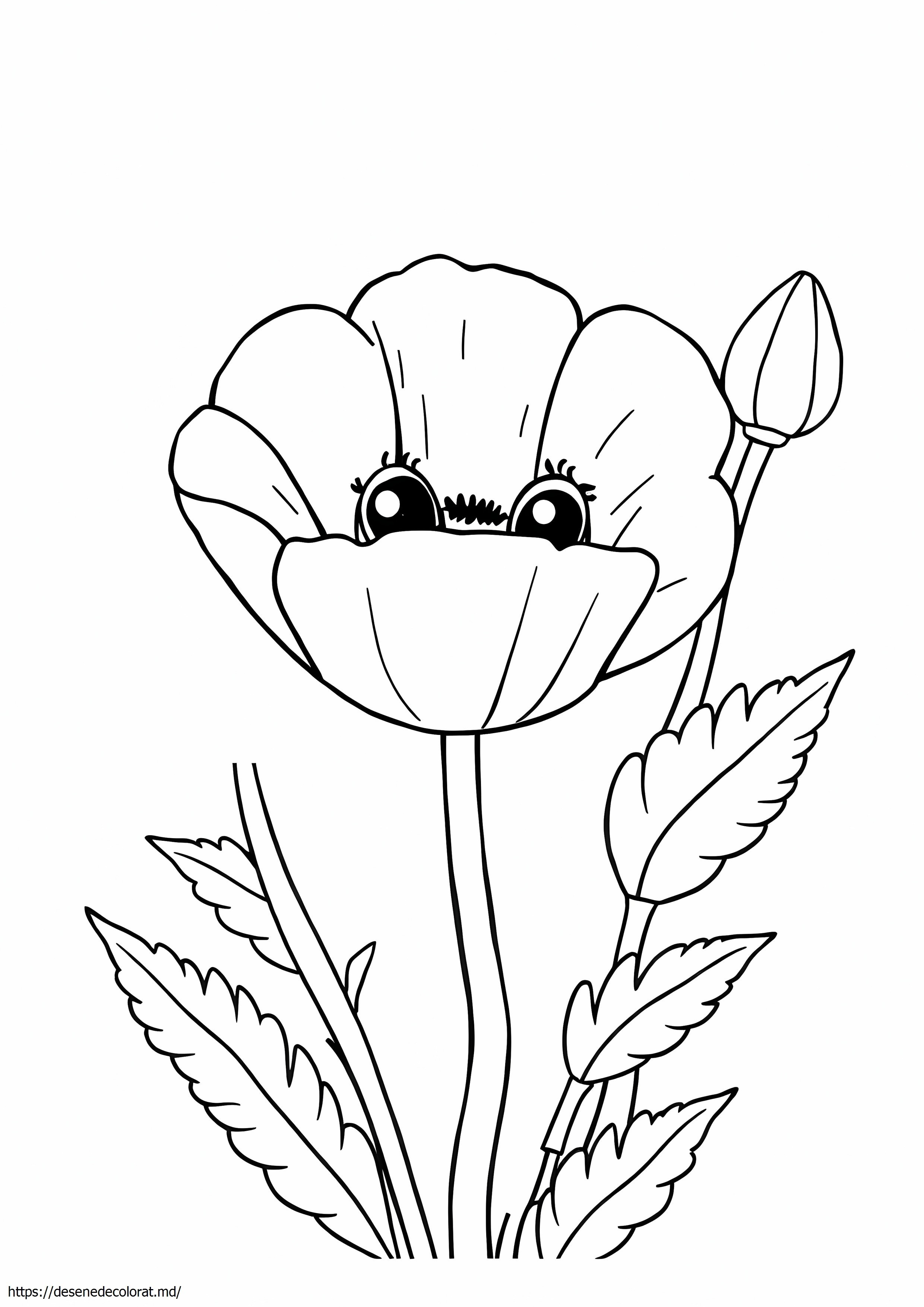 Pui de mac