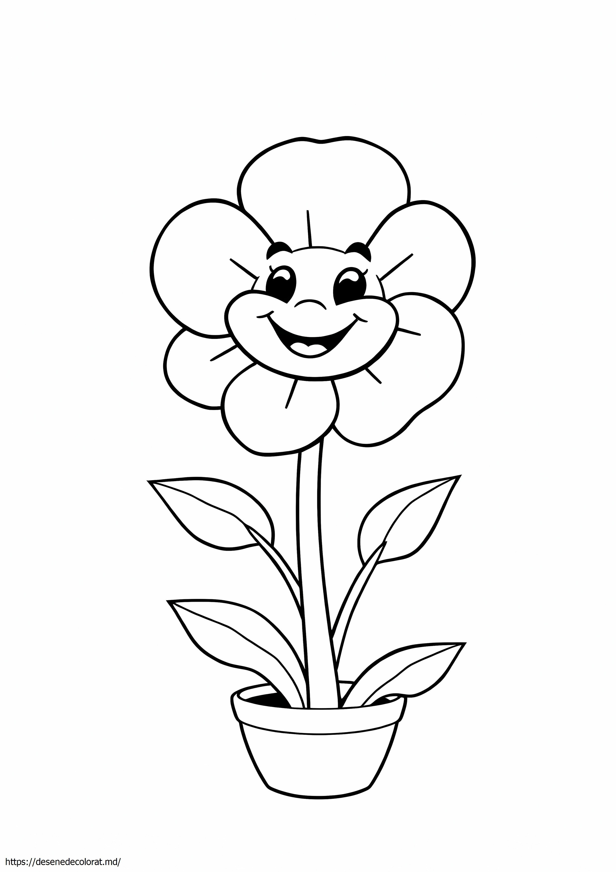 Bunga