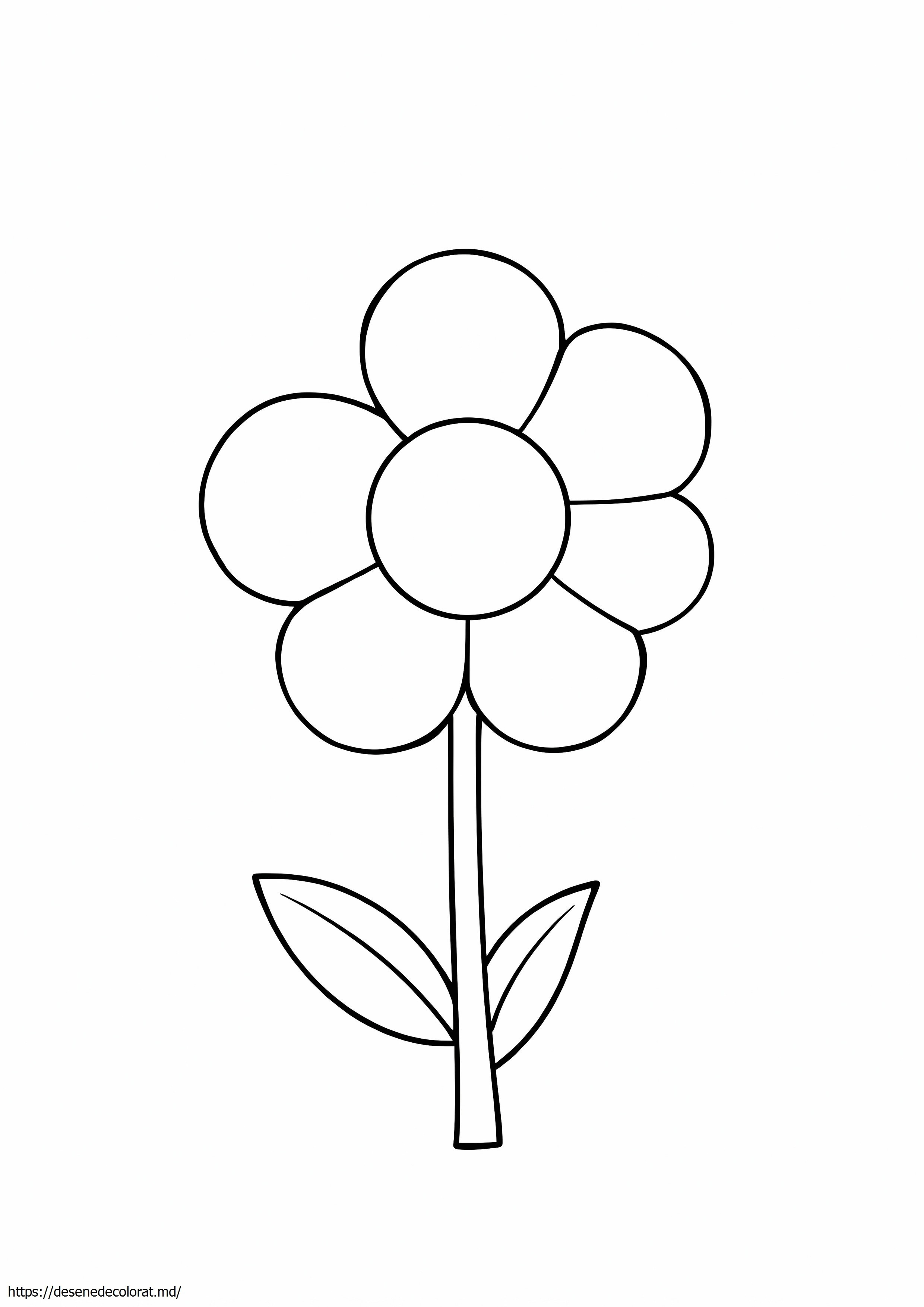 Bluet