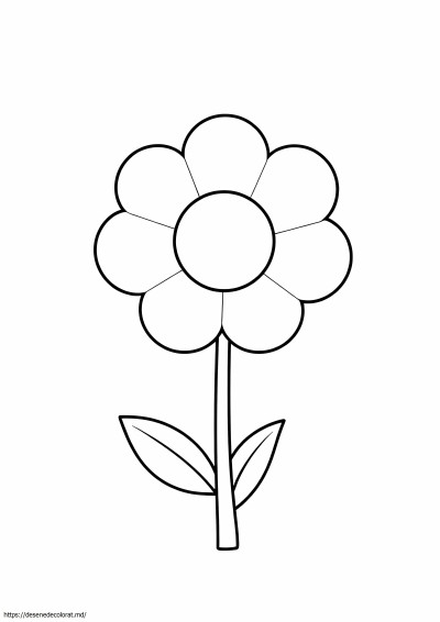 Floare dltk