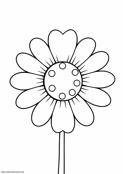 Petale de margarete