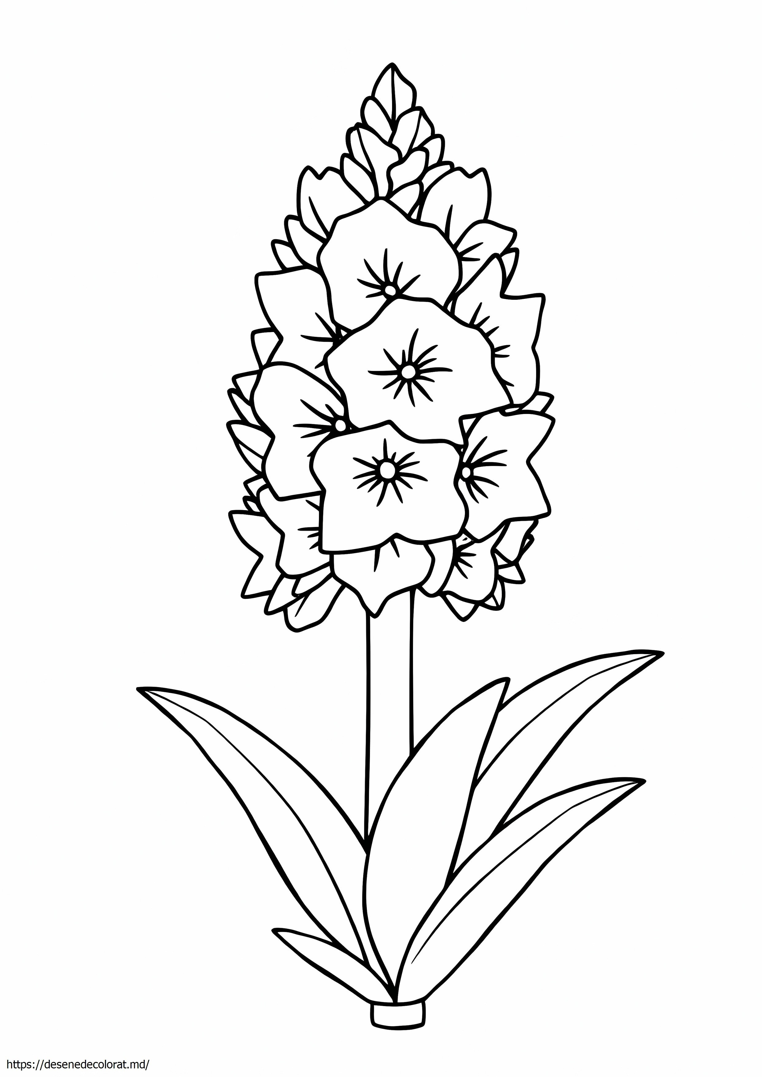 Zambilă