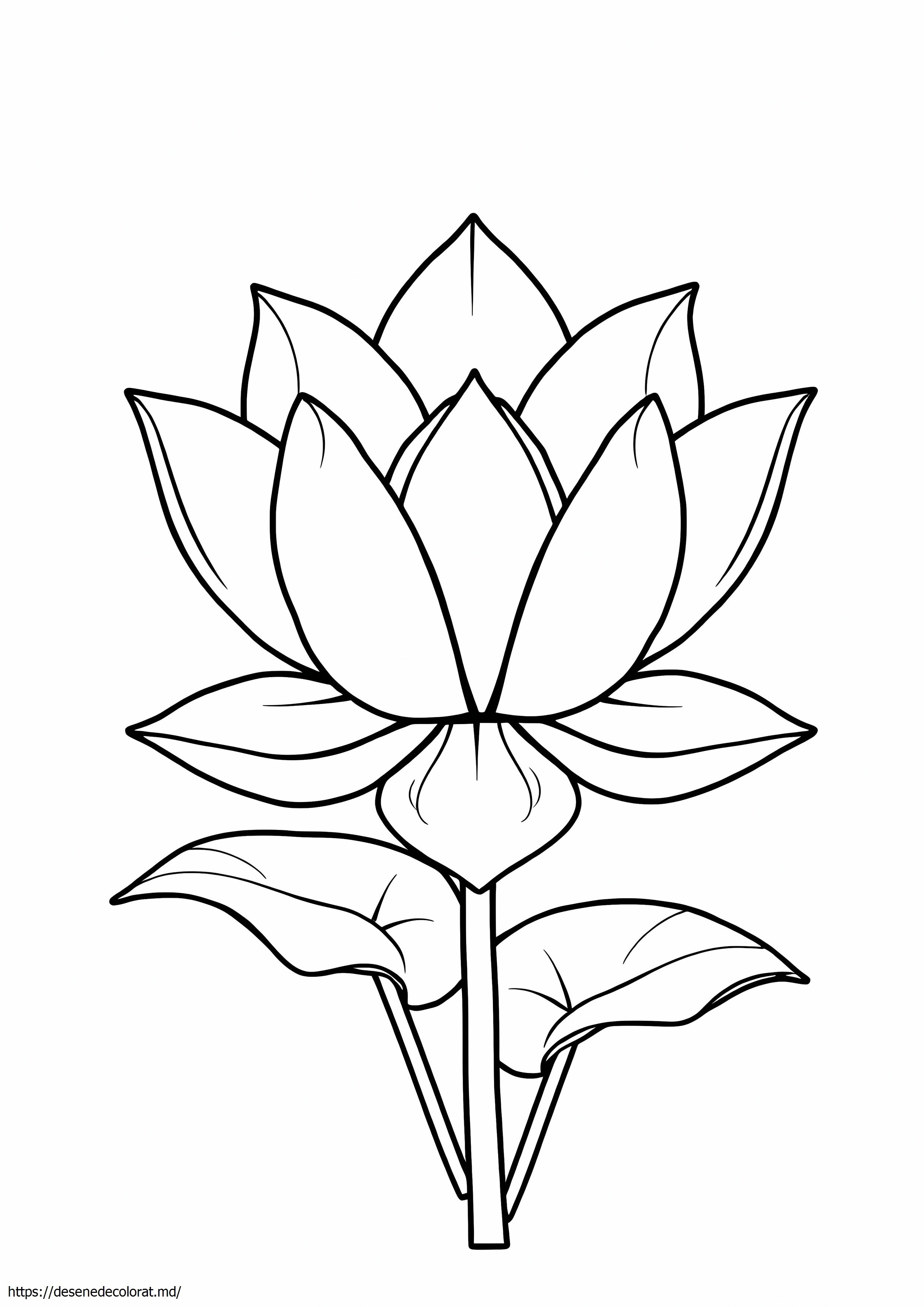Floare de lotus
