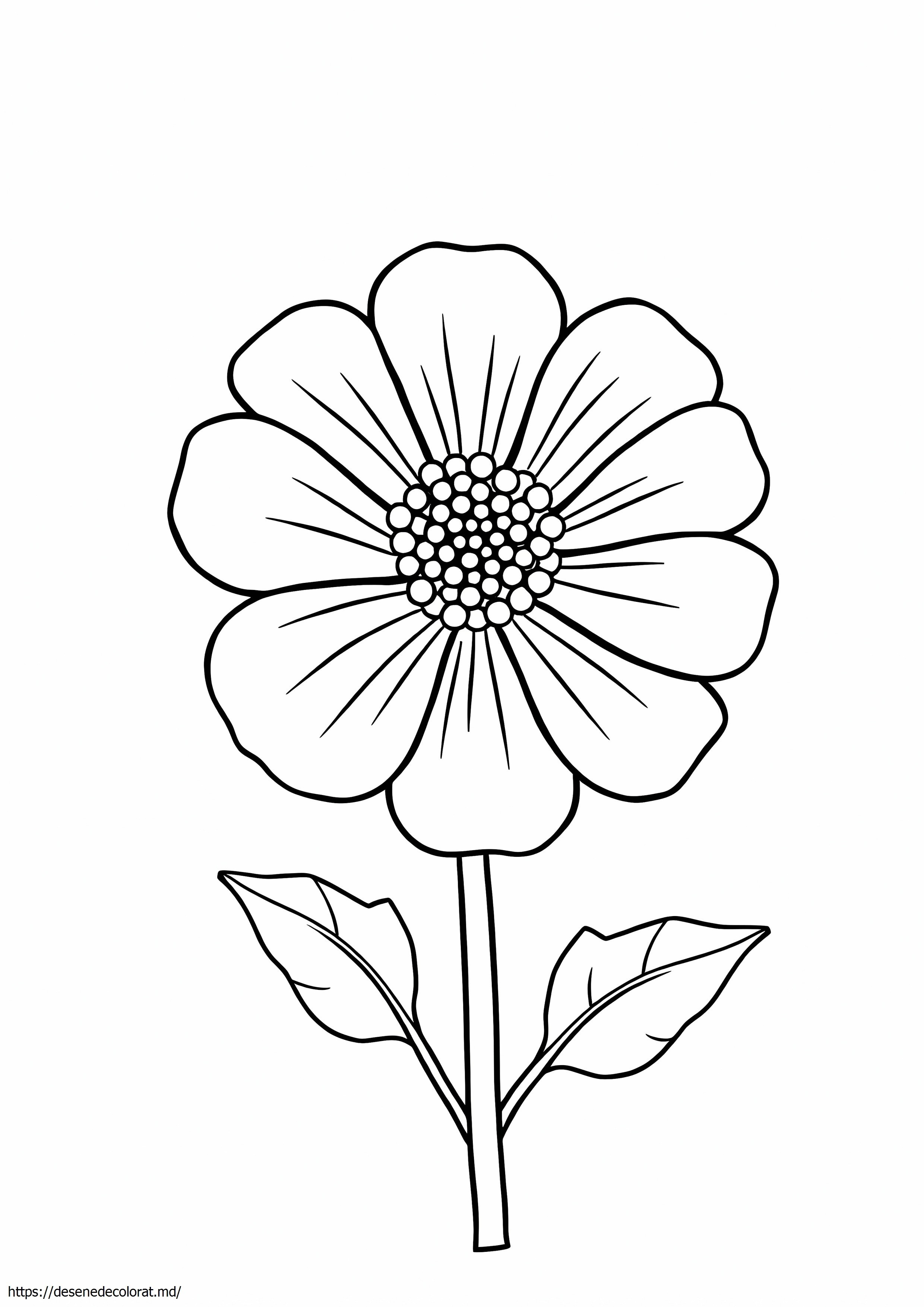 Gălbenele