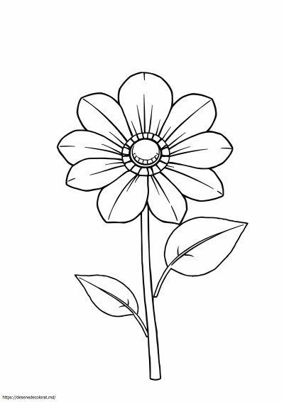Floare de mai