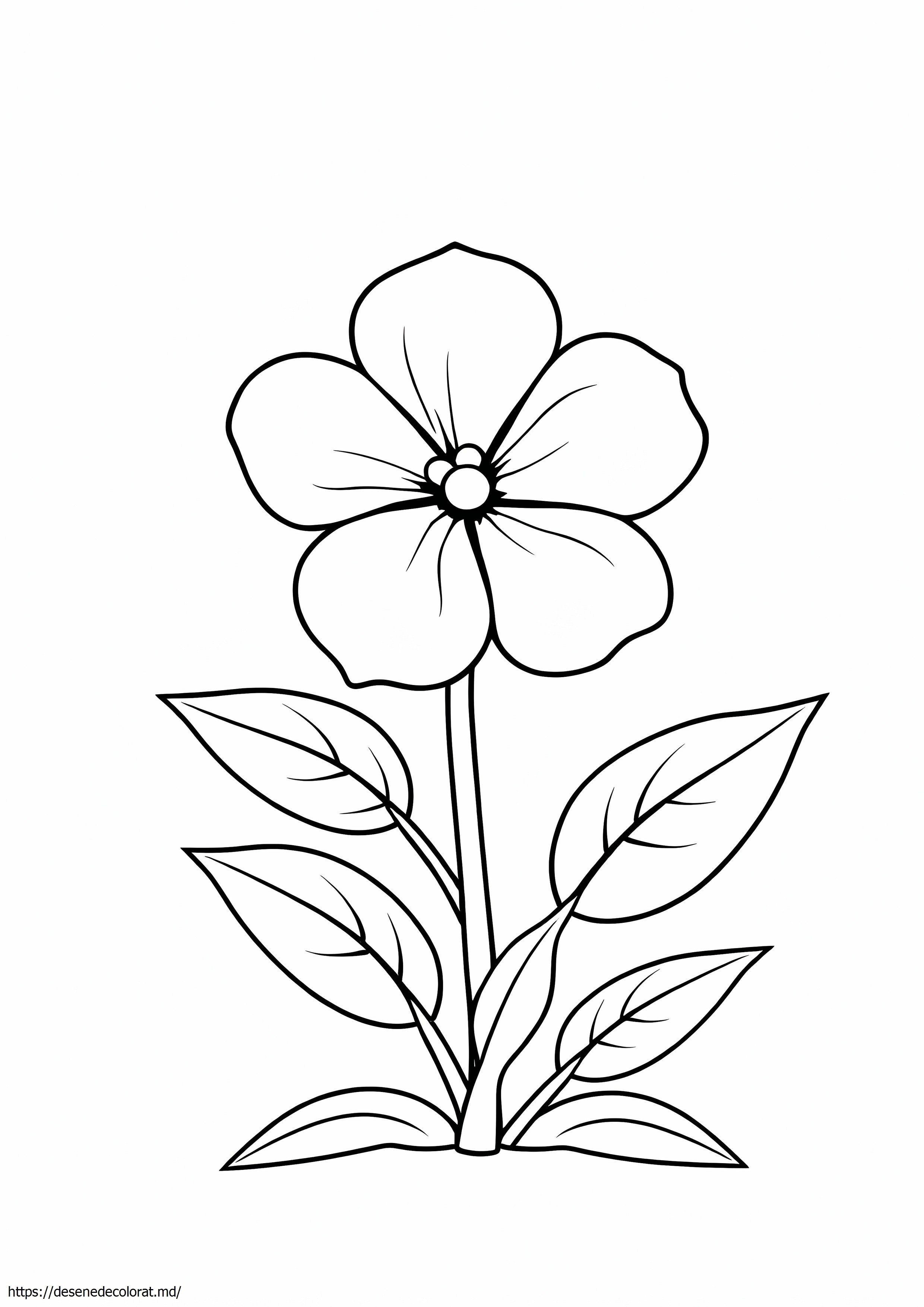 Floare de portocal
