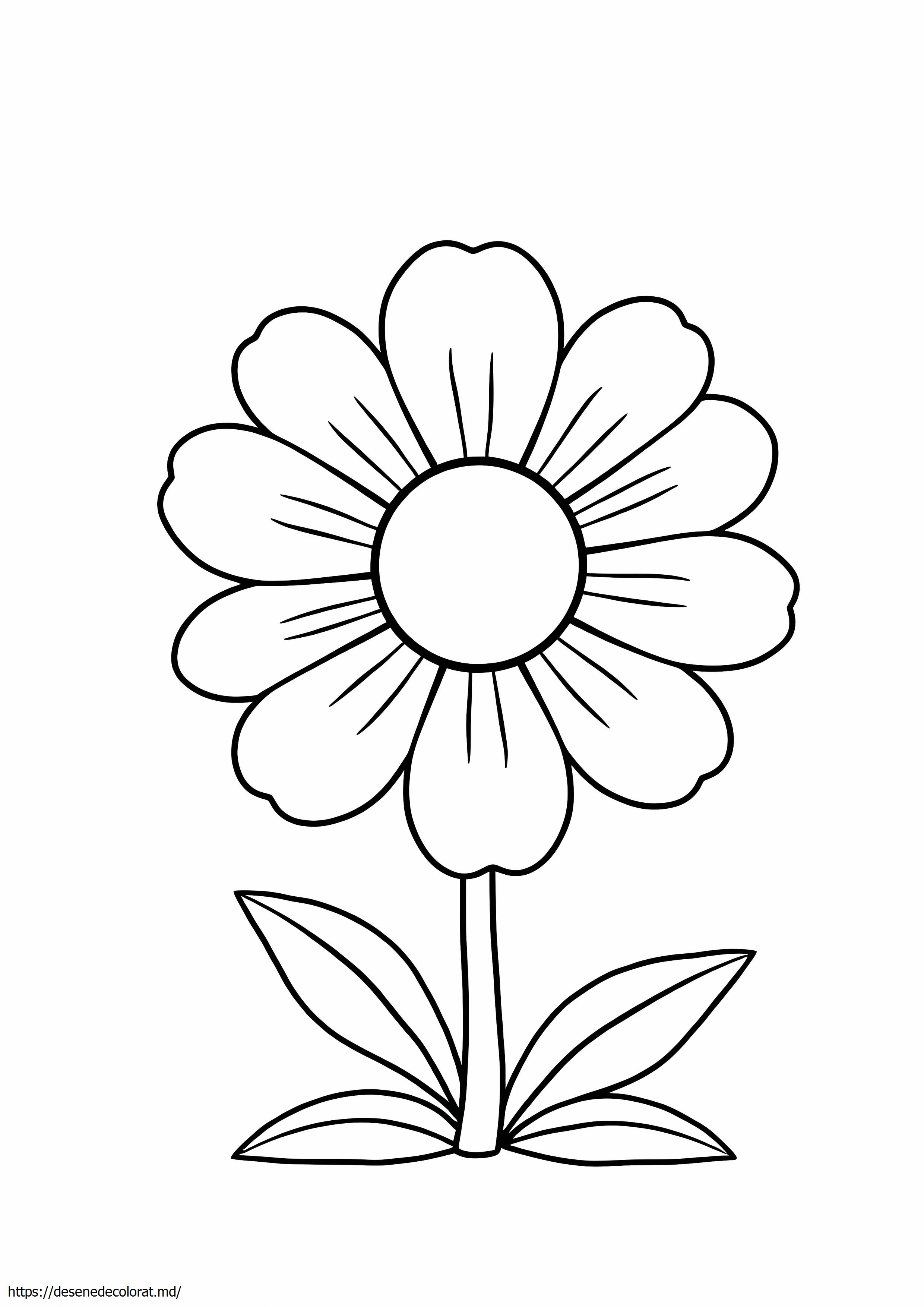 Margaretă de piersici