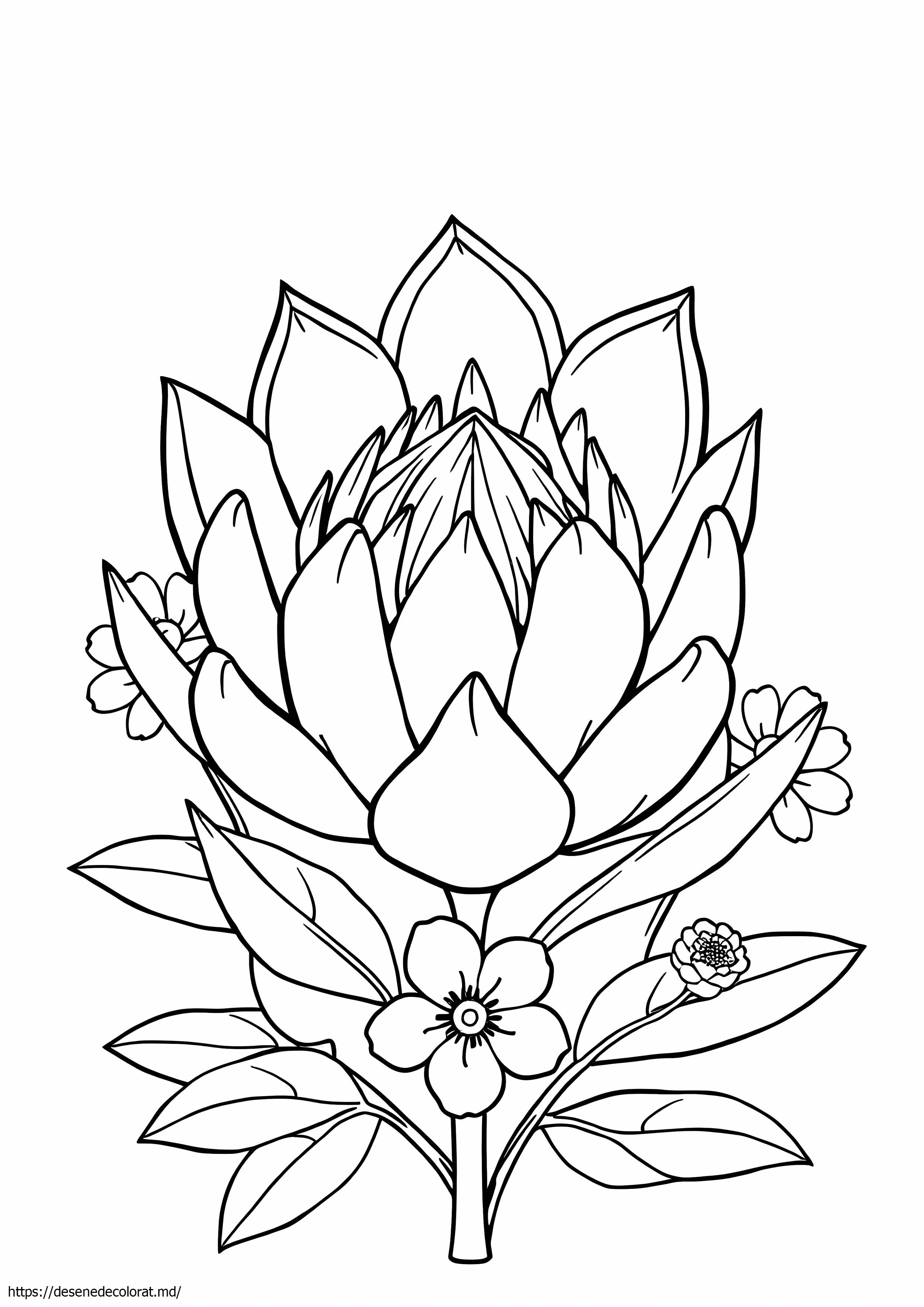 Protea