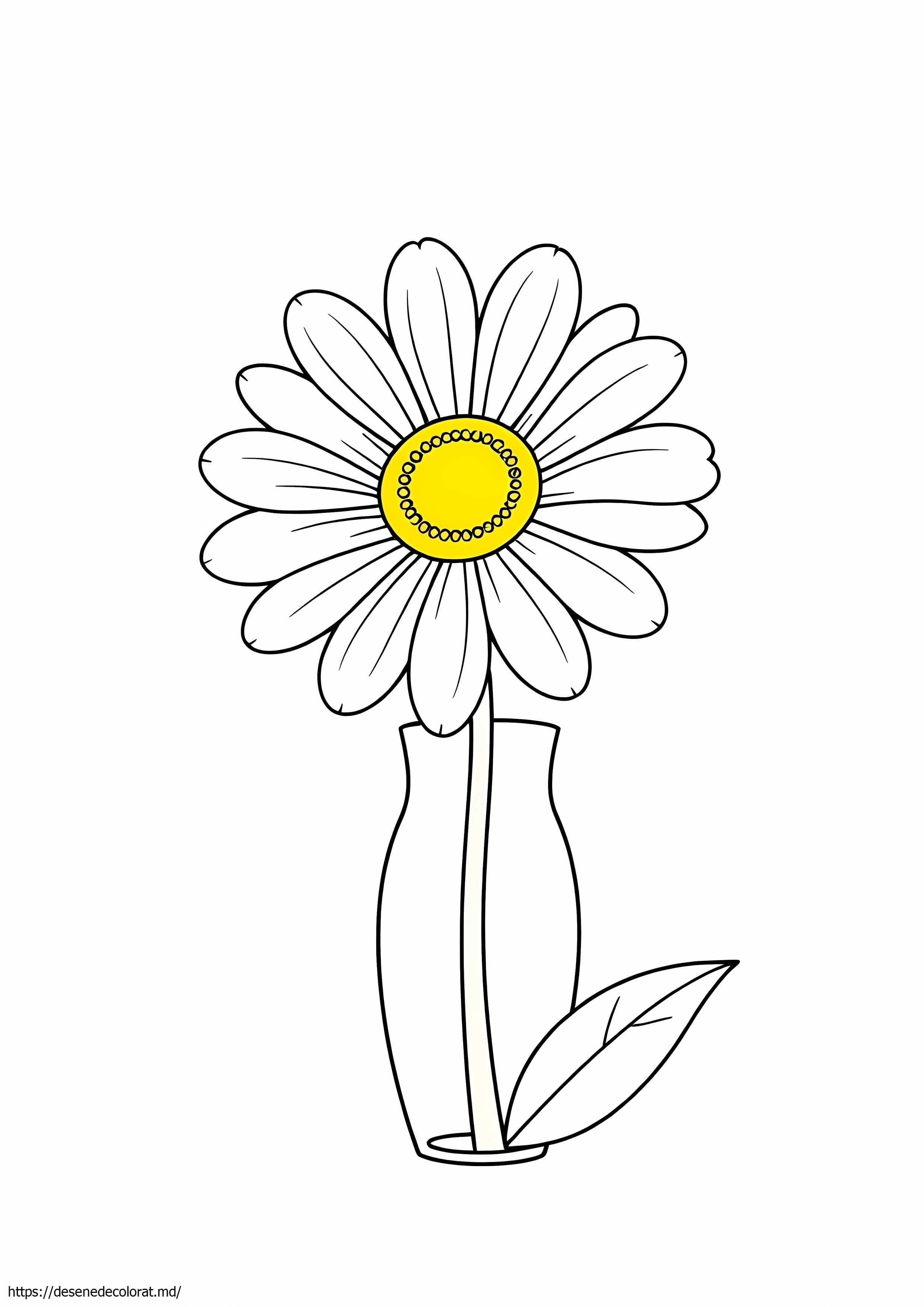 Margaretă realistă