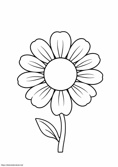 Floare de margaretă simplă