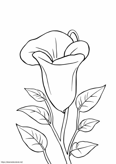Mazăre dulce