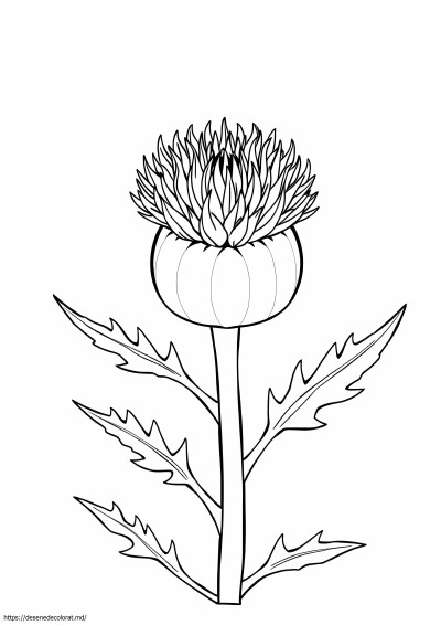 Ciulin