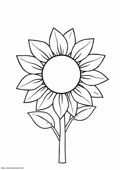 Floarea soarelui