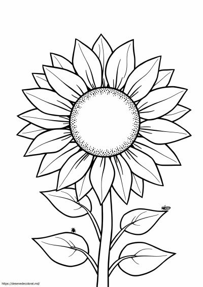 Floarea soarelui