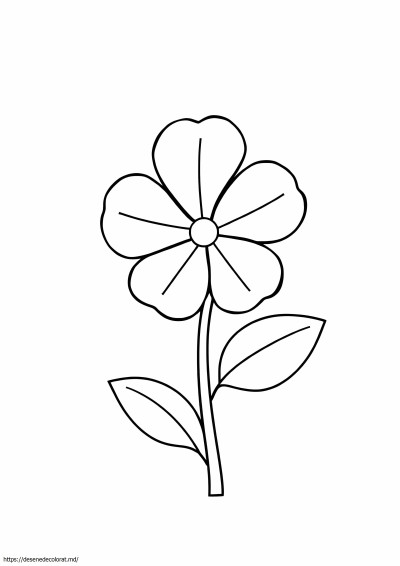 Floare violetă