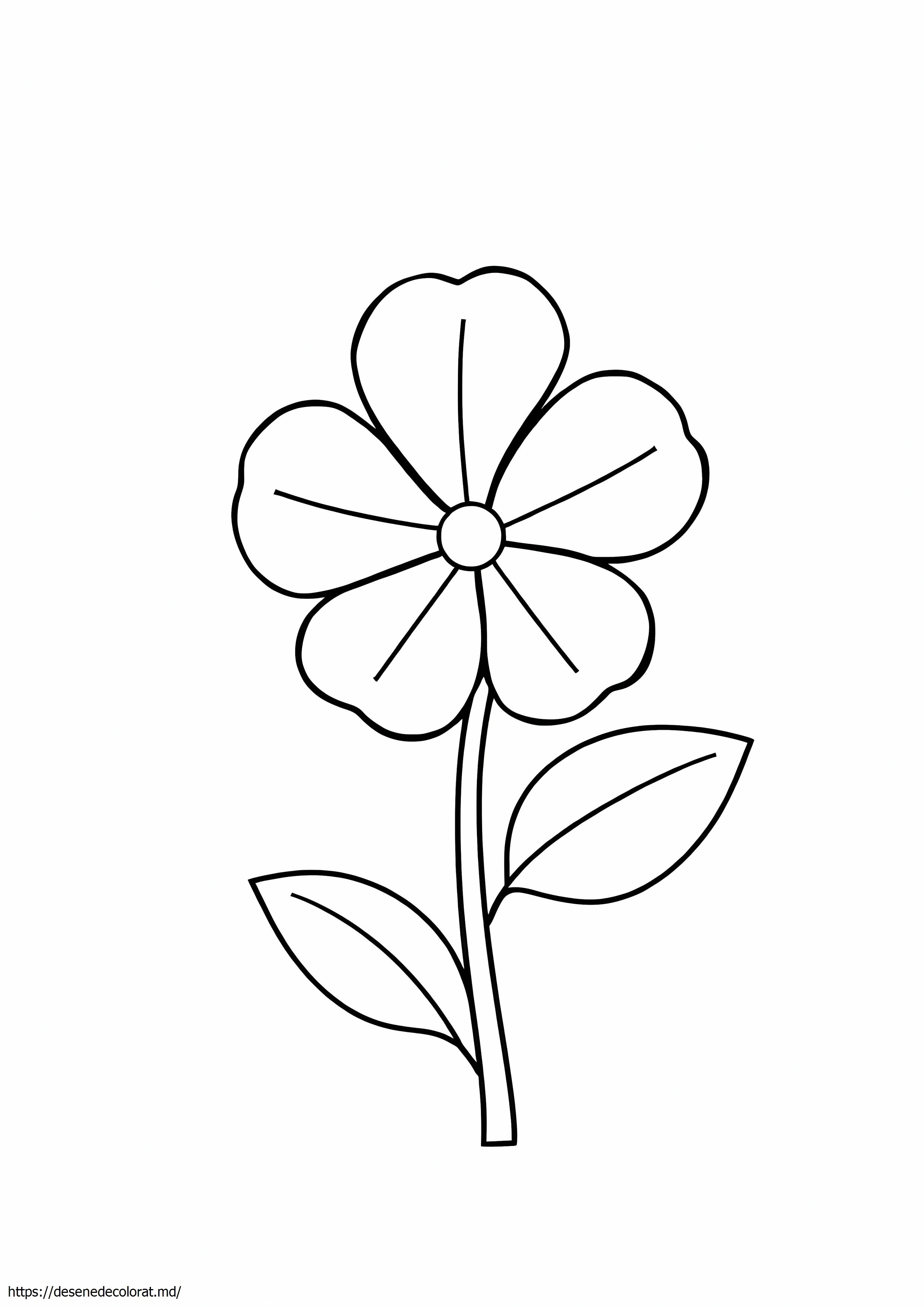 Floare violetă