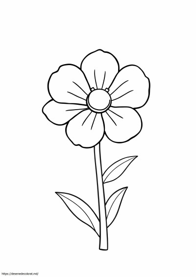 Floare