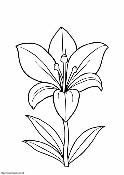 Floare de crin ușor
