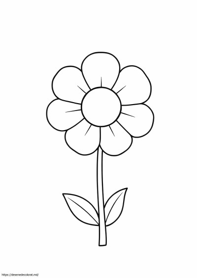 Floare simpla pentru