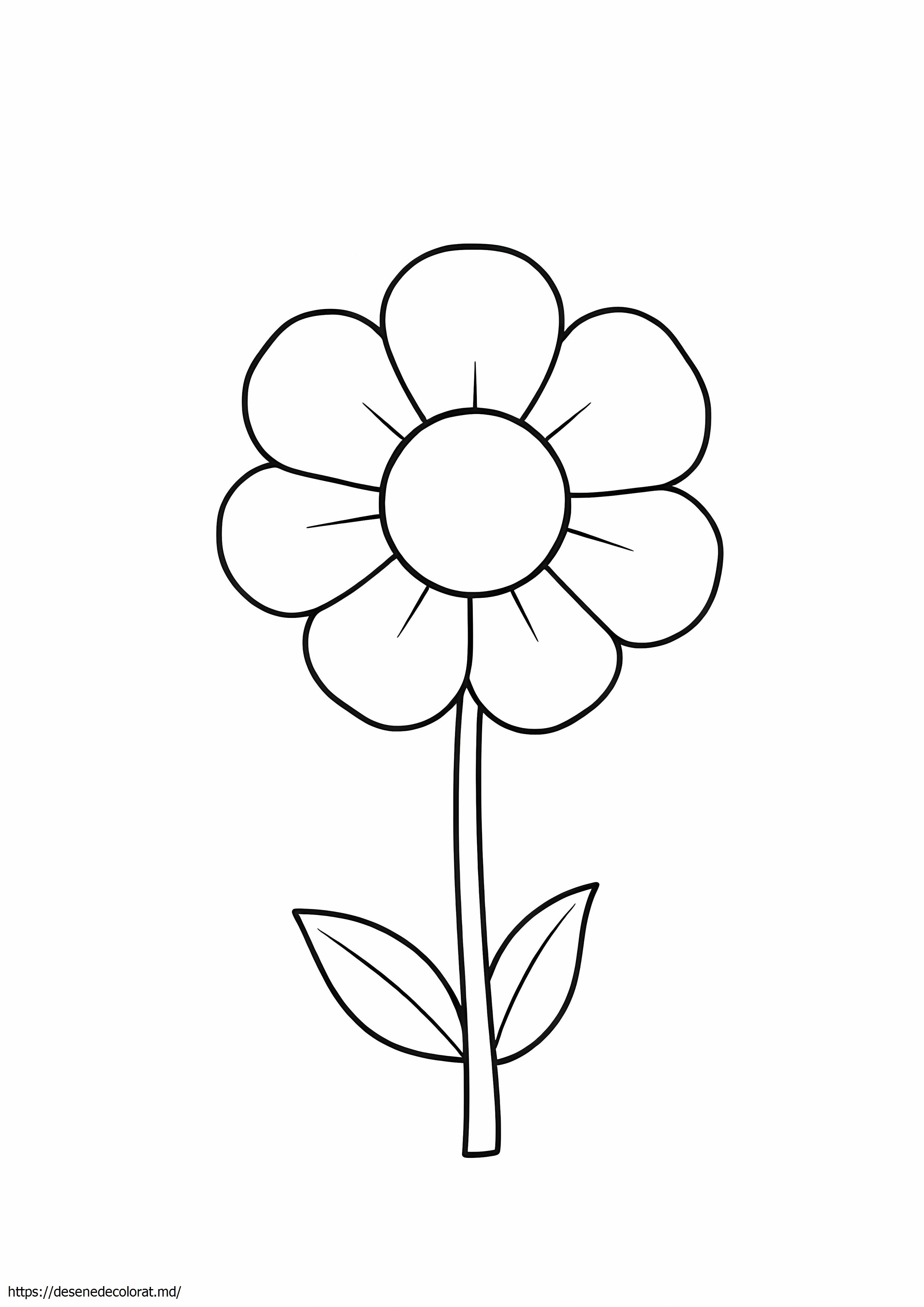 Floare simpla pentru
