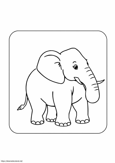 Elefant indian ușor