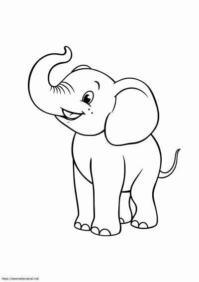 Design de elefant