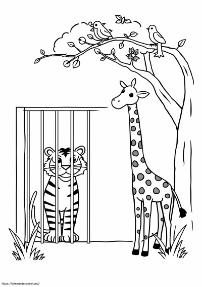 Grădina zoologică ușoară