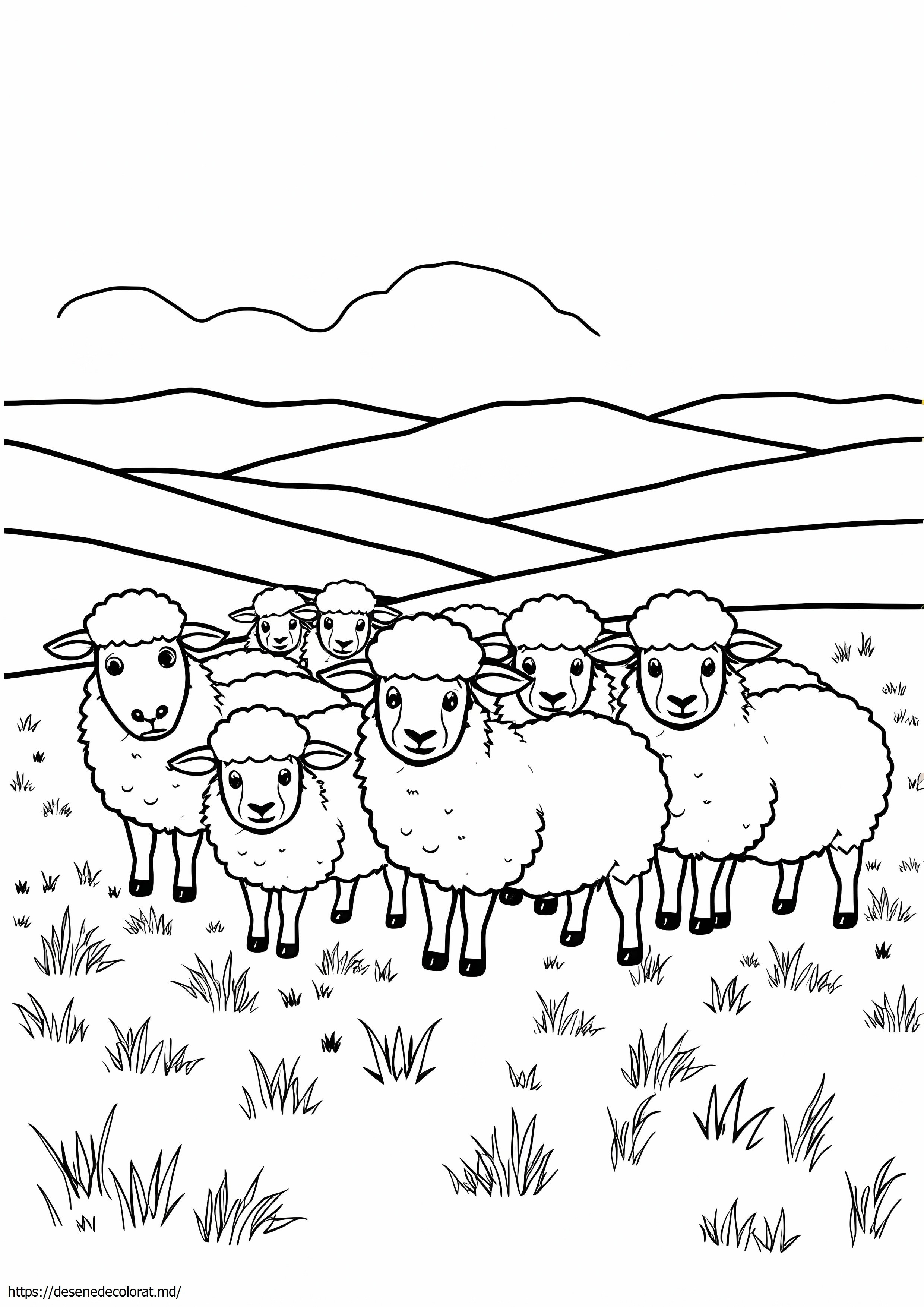 Turma de oi