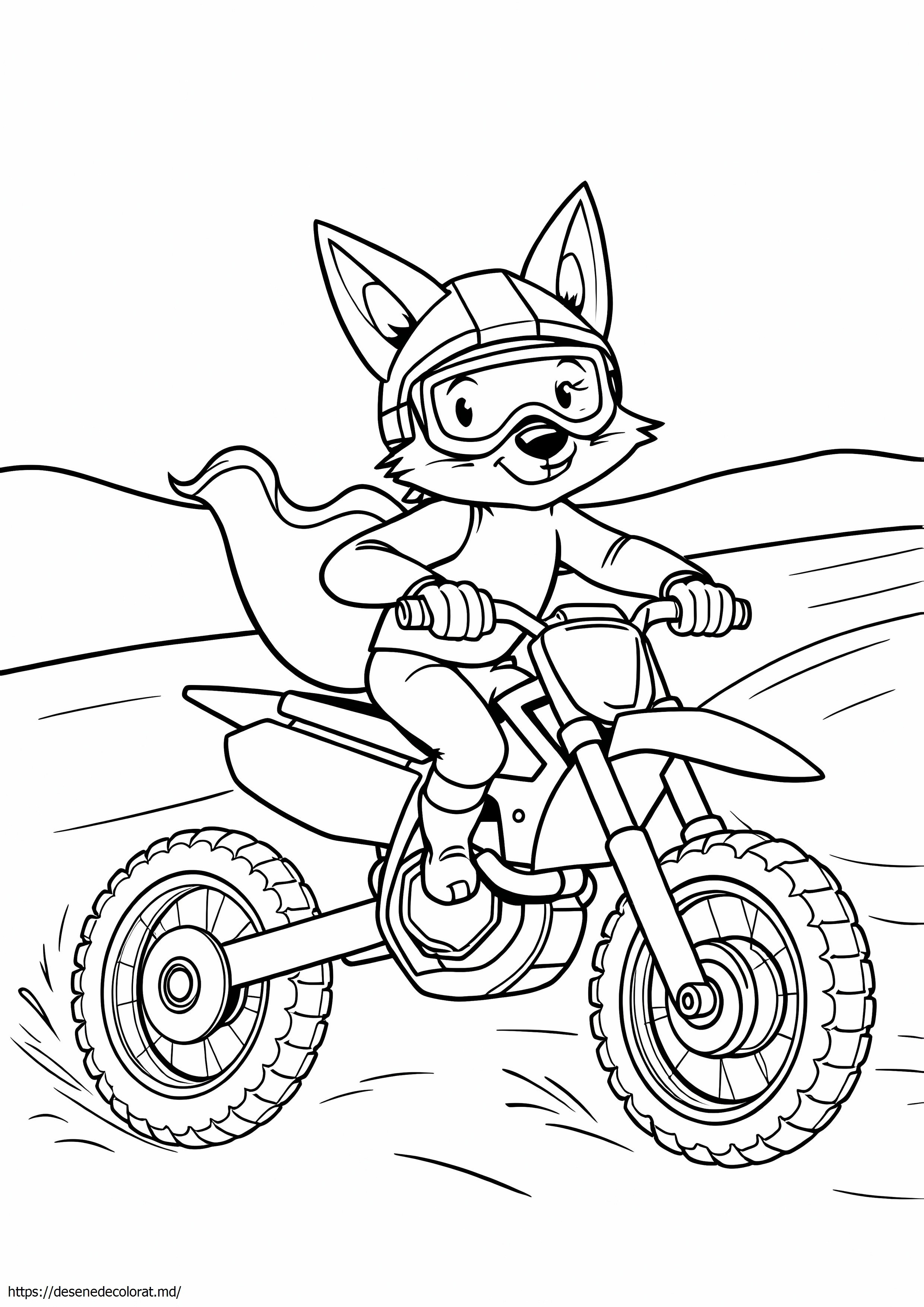 Fox dirt bike
