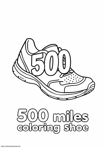 500 mile pantof de alergare
