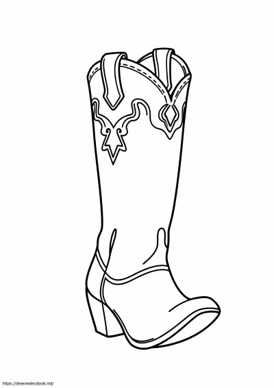 Cizme de cowboy