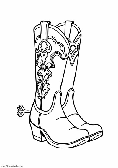 Cizme rodeo cowgirl
