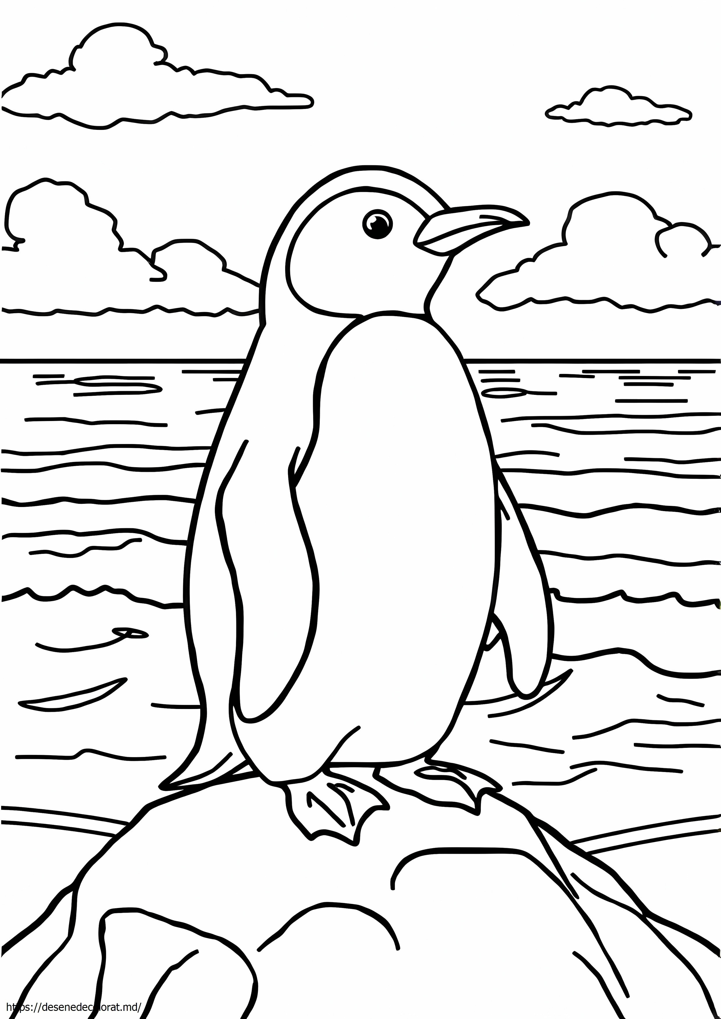 Pinguinul din Galapagos