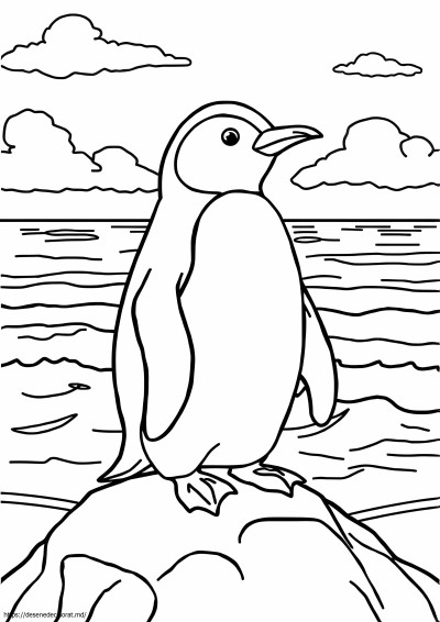 Pinguinul din Galapagos
