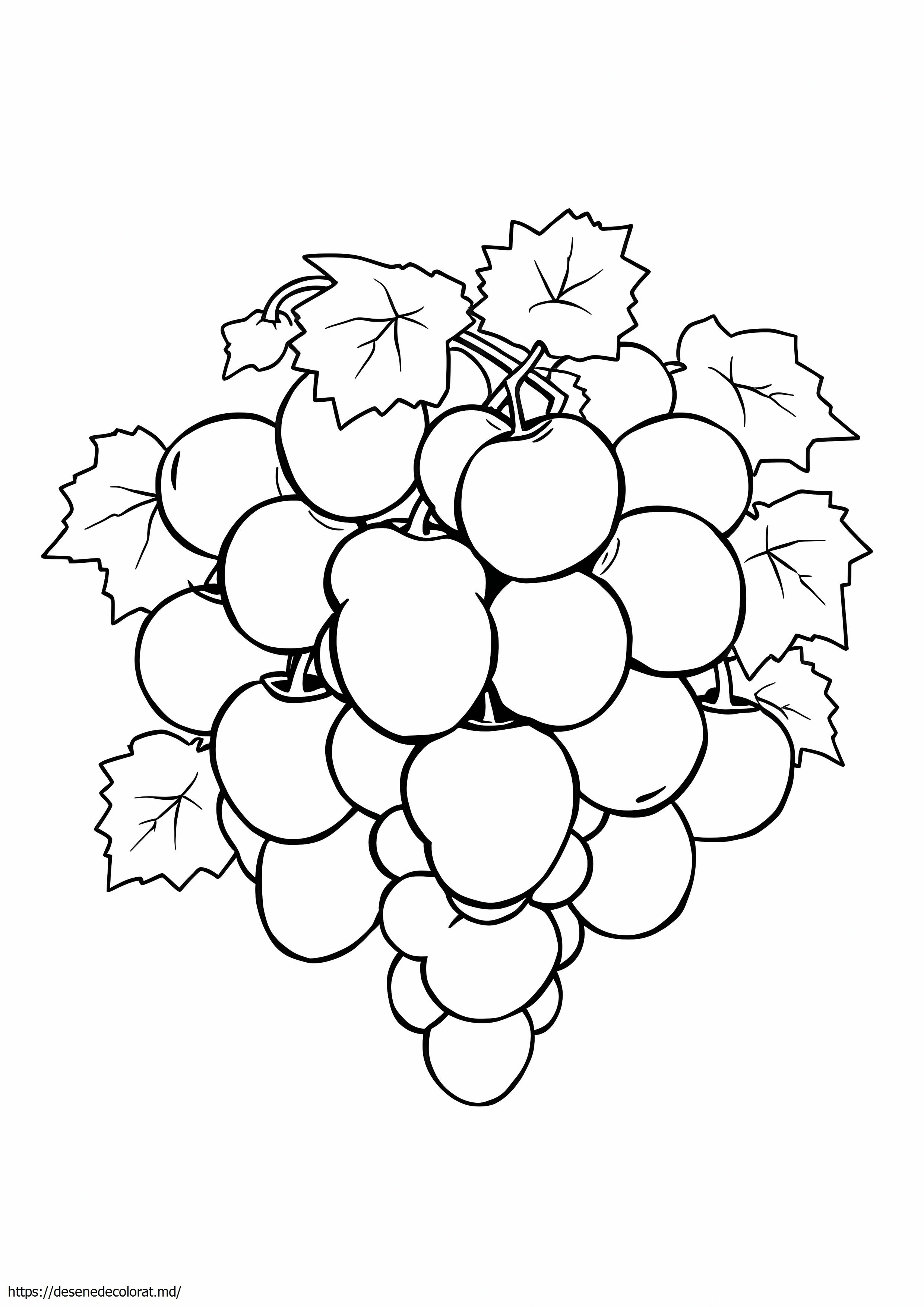 12 uva