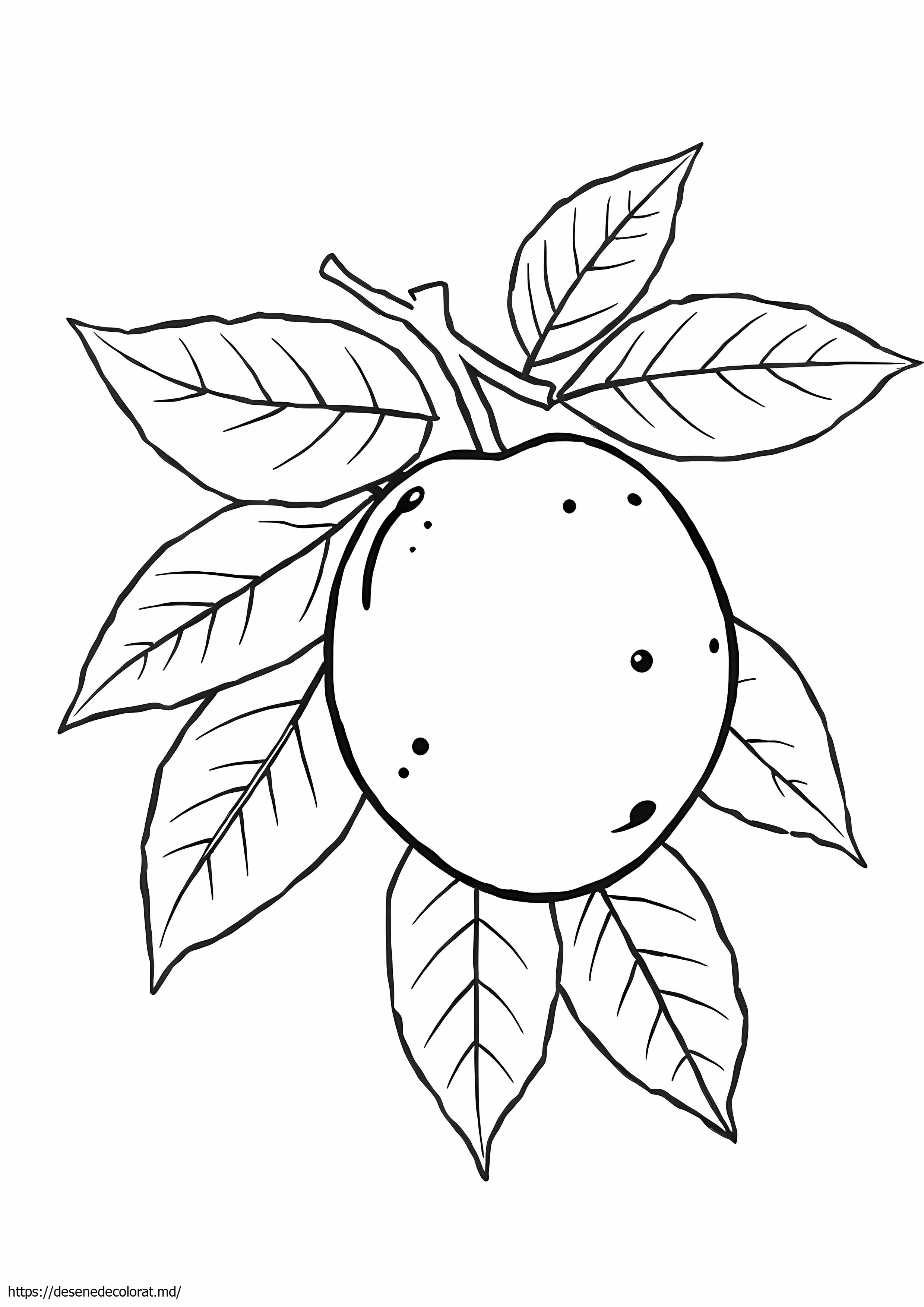 Atis