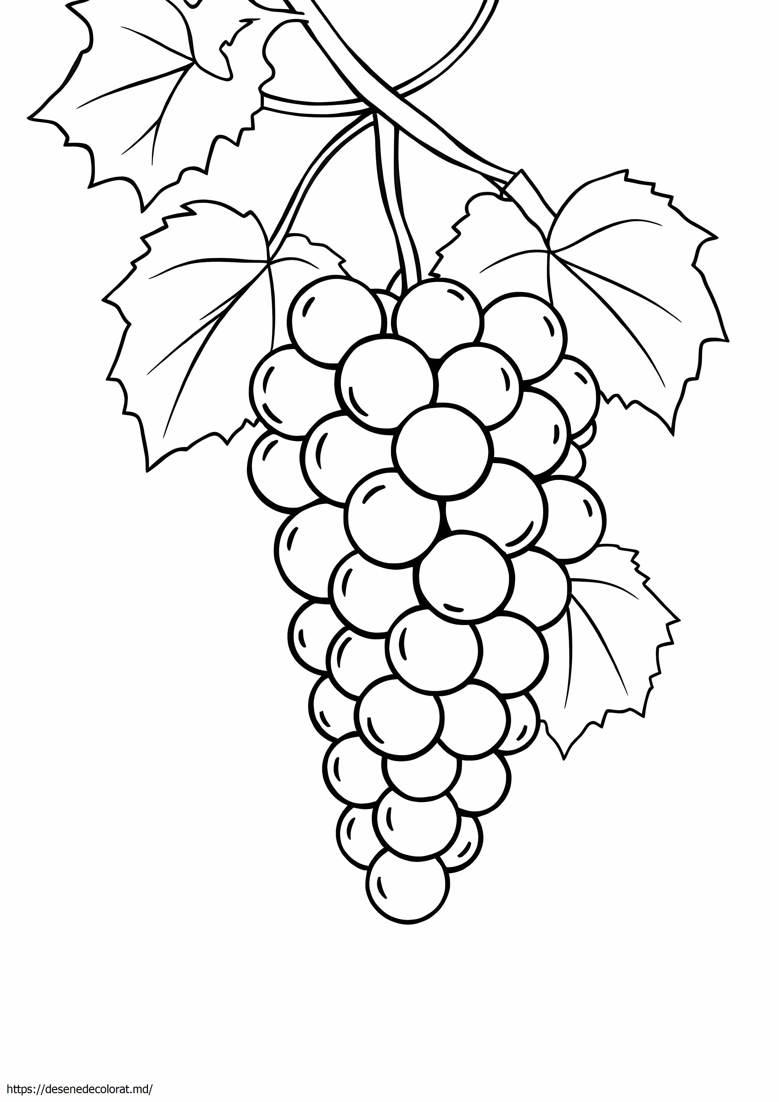 Ciorchine de struguri