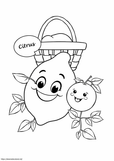 Citrice