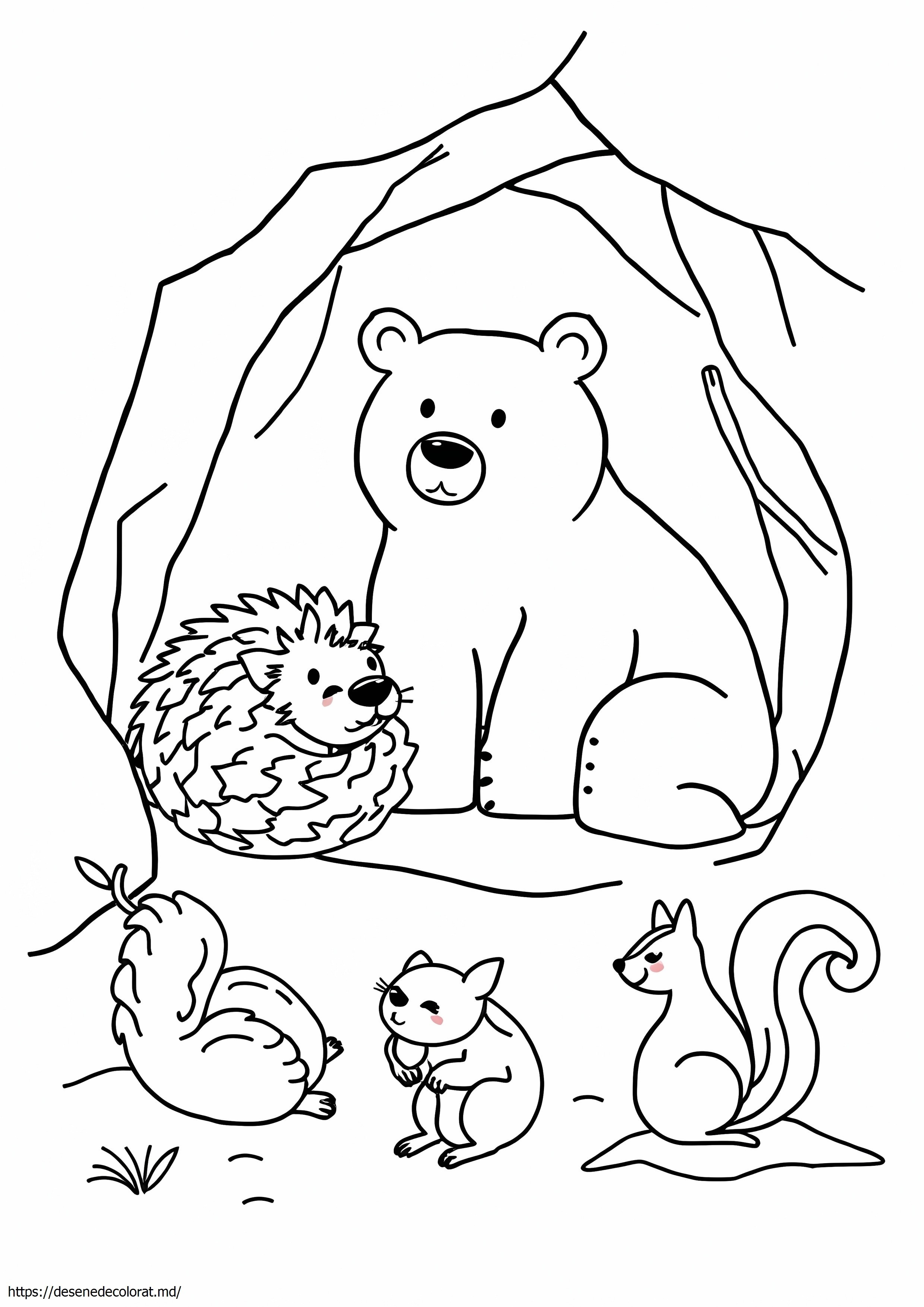 Animalele care hibernează